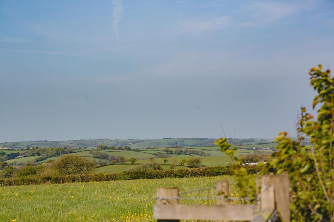Maes Y Mel- A Couples, Pet Friendly, Rural Romantic Getaway With Countryside Views Gellywen Buitenkant foto