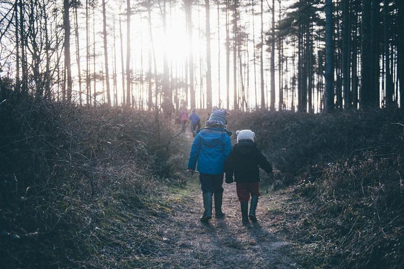 Maes Y Mel- A Couples, Pet Friendly, Rural Romantic Getaway With Countryside Views Gellywen Buitenkant foto
